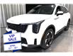 2026 Kia Sorento Hybrid SX (Stk: 27119) in Edmonton - Image 6 of 32