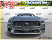 2026 Ford Mustang EcoBoost (Stk: AFL260181) in Hamilton - Image 2 of 16