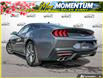 2026 Ford Mustang EcoBoost (Stk: AFL260181) in Hamilton - Image 4 of 16