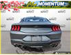 2026 Ford Mustang EcoBoost (Stk: AFL260181) in Hamilton - Image 5 of 16
