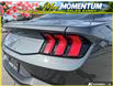 2026 Ford Mustang EcoBoost (Stk: AFL260181) in Hamilton - Image 8 of 16