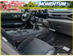 2026 Ford Mustang EcoBoost (Stk: AFL260181) in Hamilton - Image 16 of 16