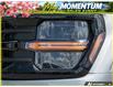 2025 Ford F-150 XLT (Stk: MFLFH214) in Sault Ste. Marie - Image 9 of 24