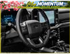 2026 Ford F-150 XLT (Stk: FI124) in Sault Ste. Marie - Image 12 of 24