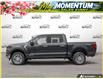2026 Ford F-150 XLT (Stk: W3L022) in Sault Ste. Marie - Image 3 of 24
