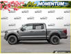 2026 Ford F-150 XLT (Stk: MFLFI144) in Sault Ste. Marie - Image 3 of 27