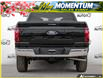 2026 Ford F-150 XLT (Stk: W3LM340T1) in Sault Ste. Marie - Image 5 of 26