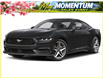 2026 Ford Mustang EcoBoost (Stk: 6G014) in Oakville - Image 1 of 3