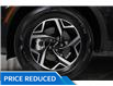 2024 Kia Sportage LX (Stk: 25011 ) in Edmonton - Image 8 of 18