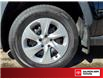 2025 Toyota RAV4 LE (Stk: S10785P) in Salmon Arm - Image 6 of 25