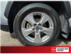 2023 Toyota RAV4 XLE (Stk: S29910T1) in Salmon Arm - Image 6 of 25