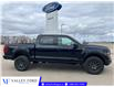 2026 Ford F-150 Tremor (Stk: T59836) in Hague - Image 1 of 14