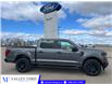 2026 Ford F-150 STX (Stk: T40256) in Hague - Image 1 of 13