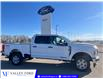 2026 Ford F-350 XLT (Stk: T43229) in Hague - Image 1 of 14
