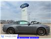 2026 Ford Mustang EcoBoost Premium (Stk: T18340) in Hague - Image 1 of 13