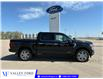 2026 Ford F-150 Platinum (Stk: T86575) in Hague - Image 1 of 14