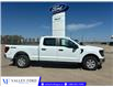 2026 Ford F-150 XL (Stk: T24360) in Hague - Image 1 of 14