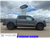 2026 Ford F-150 Tremor (Stk: T06128) in Hague - Image 1 of 14
