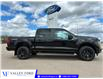 2026 Ford F-150 STX (Stk: T19769) in Hague - Image 1 of 14