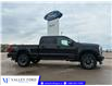 2026 Ford F-350 Platinum (Stk: T95633) in Hague - Image 1 of 14