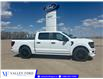2026 Ford F-150 STX (Stk: T33750) in Hague - Image 1 of 15