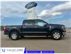 2022 Ford F-150  (Stk: U32841) in Hague - Image 1 of 14