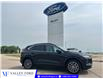 2025 Ford Escape PHEV (Stk: S66663) in Hague - Image 1 of 14