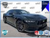 2024 Ford Mustang GT (Stk: AFLA250941DT) in Hamilton - Image 1 of 16