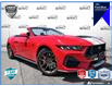 2024 Ford Mustang GT Premium (Stk: AFL00H2795) in Hamilton - Image 1 of 19
