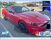 2021 Ford Mustang EcoBoost Premium (Stk: OFLT1026) in Oakville - Image 1 of 6