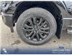 2025 Ford F-150 XLT (Stk: 25T7069) in Red Deer - Image 6 of 24