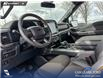 2026 Ford F-150 Tremor (Stk: 26AT5224) in Airdrie - Image 13 of 25 2026 Ford F-150 Tremor (Stk: 26AT5224) in Airdrie - Image 13 of 25