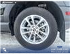 2024 Ford Bronco Sport Big Bend (Stk: P1249) in Innisfail - Image 10 of 25