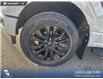 2026 Ford F-150 XLT (Stk: 26T0554) in Red Deer - Image 6 of 24 2026 Ford F-150 XLT (Stk: 26T0554) in Red Deer - Image 6 of 24