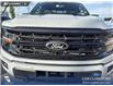 2026 Ford F-150 XLT (Stk: 26T0554) in Red Deer - Image 9 of 24 2026 Ford F-150 XLT (Stk: 26T0554) in Red Deer - Image 9 of 24