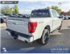 2026 Ford F-150 XLT (Stk: 26T0554) in Red Deer - Image 11 of 24 2026 Ford F-150 XLT (Stk: 26T0554) in Red Deer - Image 11 of 24