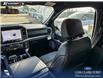 2026 Ford F-150 XLT (Stk: 26T0554) in Red Deer - Image 24 of 24 2026 Ford F-150 XLT (Stk: 26T0554) in Red Deer - Image 24 of 24