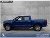 2026 Ford F-150 XLT (Stk: 26T6033) in Red Deer - Image 3 of 24 2026 Ford F-150 XLT (Stk: 26T6033) in Red Deer - Image 3 of 24