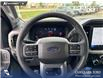 2026 Ford F-150 XLT (Stk: 26T6033) in Red Deer - Image 13 of 24 2026 Ford F-150 XLT (Stk: 26T6033) in Red Deer - Image 13 of 24