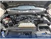 2024 Ford F-150 XLT (Stk: U38148) in Red Deer - Image 10 of 25