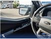 2024 Ford F-150 XLT (Stk: U38148) in Red Deer - Image 17 of 25