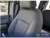 2024 Ford F-150 XLT (Stk: U38148) in Red Deer - Image 20 of 25