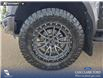2022 Ford F-150 Raptor (Stk: U38144) in Red Deer - Image 6 of 25