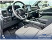 2026 Ford F-150 XLT (Stk: 26AT1913) in Airdrie - Image 13 of 25