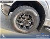 2026 Ford F-150 STX (Stk: 26T8334) in Red Deer - Image 6 of 24