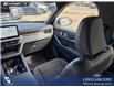 2026 Ford Explorer Tremor (Stk: 26S0281) in Red Deer - Image 25 of 25 2026 Ford Explorer Tremor (Stk: 26S0281) in Red Deer - Image 25 of 25