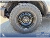 2026 Ford Bronco Big Bend (Stk: 26AS8098) in Airdrie - Image 6 of 25