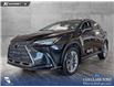 2022 Lexus NX 350 Base (Stk: P15204) in Airdrie - Image 1 of 24