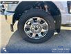 2026 Ford F-350 King Ranch (Stk: 26T2834) in Red Deer - Image 6 of 24