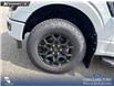 2026 Ford F-150 XLT (Stk: 26T0190) in Red Deer - Image 6 of 24